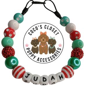 Personalized Chunky Bead Dog Necklace in Red Teal