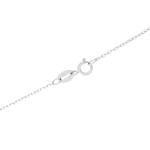 Amazon Essentials Women's Sterling Silver Pressed Flower Round Pendant Necklace, Blue, 16 (previously Amazon Collection)