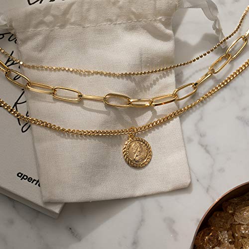 ACC PLANET Gold Layered Necklaces for Women, 18K Gold Plated Retro Coin Pendant Gold Necklace Chunky Paperclip Link Chain Choker Necklaces for Women Girls Jewelry Birthday Gifts