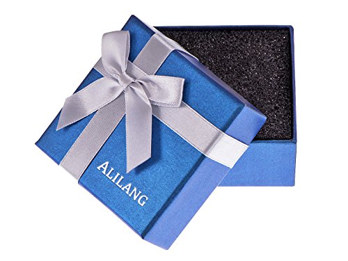 Alilang Womens Black Silver Clear Crystal Rhinestones Celtic Holy Cross Pendant Necklace, Black