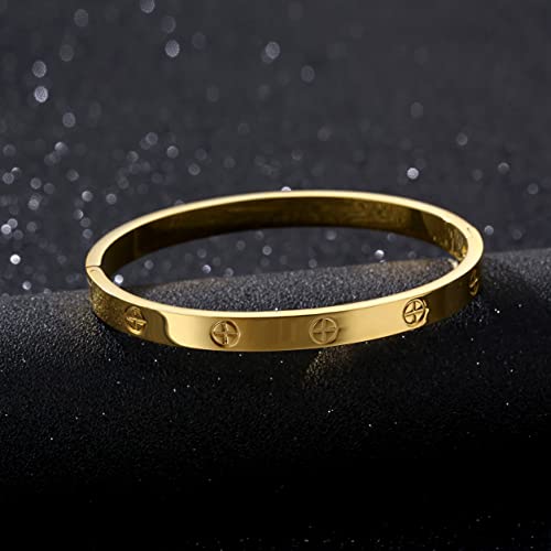 YCSLYW Women's Stainless Steel Bracelet Jewelry Crystal Bracelet With Cube Zircon Hinge Jewelry oval Bangle Witness the Gift of Love