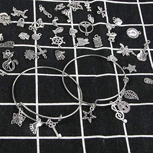 Charm Bracelet Making Kit,UPINS 30Pcs Silver Expandable Blank Bracelets Adjustable Wire Bangles with 100Pcs Tibetan Silver Charms, 200Pcs Open Jump Rings for Jewelry Making