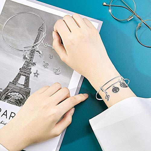 Charm Bracelet Making Kit,UPINS 30Pcs Silver Expandable Blank Bracelets Adjustable Wire Bangles with 100Pcs Tibetan Silver Charms, 200Pcs Open Jump Rings for Jewelry Making