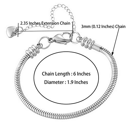 Chili Jewelry Women Snake Chain Charms Bracelet Moments Slider Love Memorial Stainless Steel Bracelet fit Charm Beads, 6 Inch