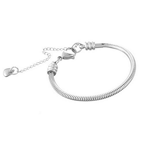 Chili Jewelry Women Snake Chain Charms Bracelet Moments Slider Love Memorial Stainless Steel Bracelet fit Charm Beads, 6 Inch