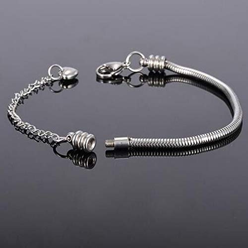 Chili Jewelry Women Snake Chain Charms Bracelet Moments Slider Love Memorial Stainless Steel Bracelet fit Charm Beads, 6 Inch