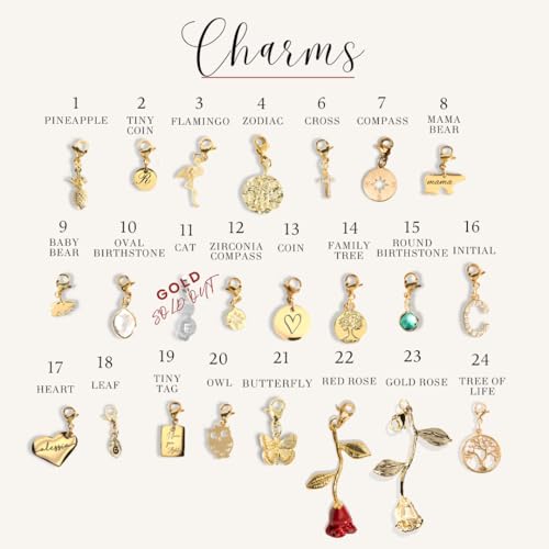 Charm Bracelet Personalized Charm for Women Design your Own Jewelry Unique Gift for her Mothers Day Gift - P-CHARM-MIX-BR