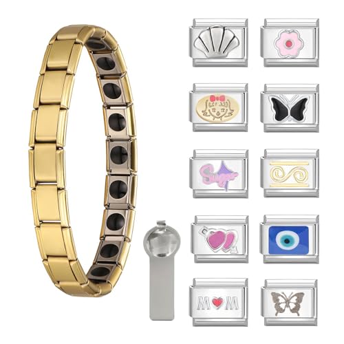 ITingstere Italian Charms Bracelet Sets with 1Pcs Gold Starter Brascelet,10Pcs Charms and Opening Tools,9mm Italian Modular Charm Bracelet Link Handmade DIY Module Jewelry Gifts