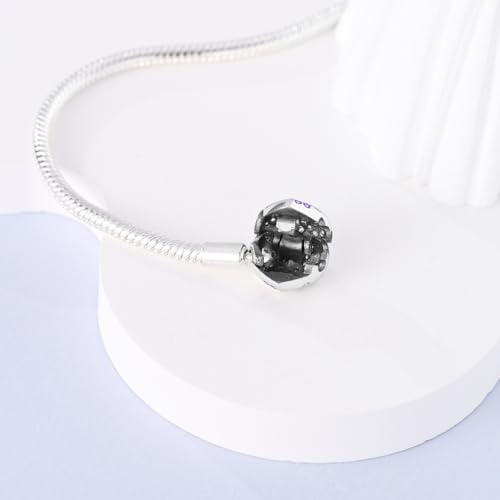 Parmuz 925 Sterling Silver Charm Bracelet for Woman Snake Chain Bracelet Star Moon Butterfly Cute Iconic Moments European Bracelet Jewelry Gift for Woman