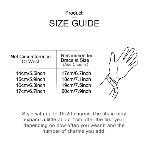 Parmuz 925 Sterling Silver Charm Bracelet for Woman Snake Chain Bracelet Star Moon Butterfly Cute Iconic Moments European Bracelet Jewelry Gift for Woman