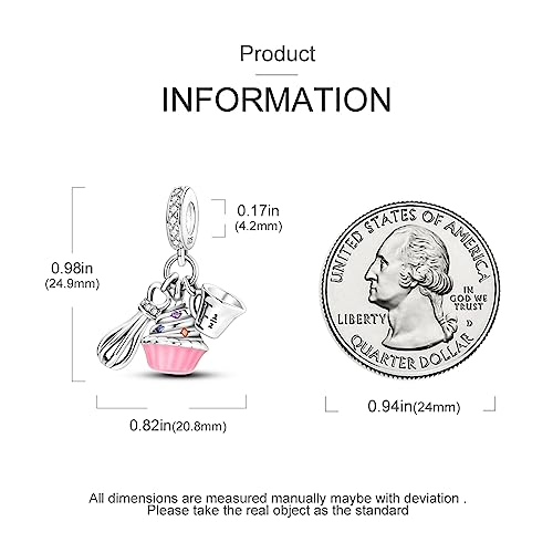 Hapour 925 Sterling Silver Charms for Charm Bracelets Necklace European Jewelry Pendant Beads charm Birthday Gift for Women Girls Mom Daughter