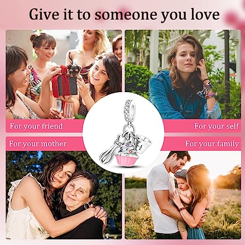 Hapour 925 Sterling Silver Charms for Charm Bracelets Necklace European Jewelry Pendant Beads charm Birthday Gift for Women Girls Mom Daughter