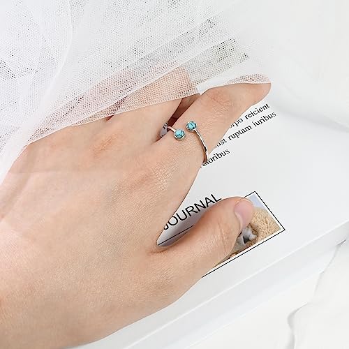 Handmade Silver Turquoise Double Stone Adjustable Statement Ring