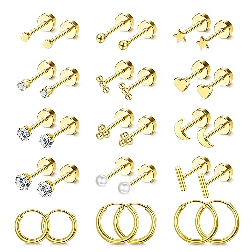Hypoallergenic 14K Gold Plated Stud Earrings