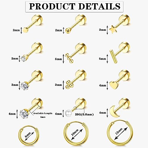 Hypoallergenic 14K Gold Plated Stud Earrings