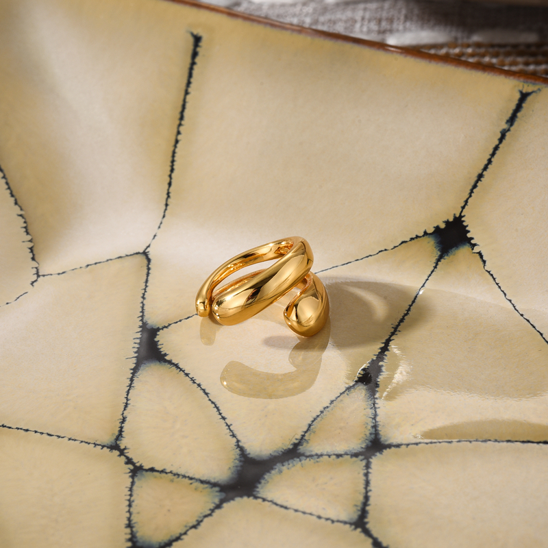 Trendsetting Women's Ear Clip Earring Accessory