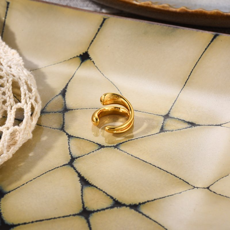 Trendsetting Women's Ear Clip Earring Accessory