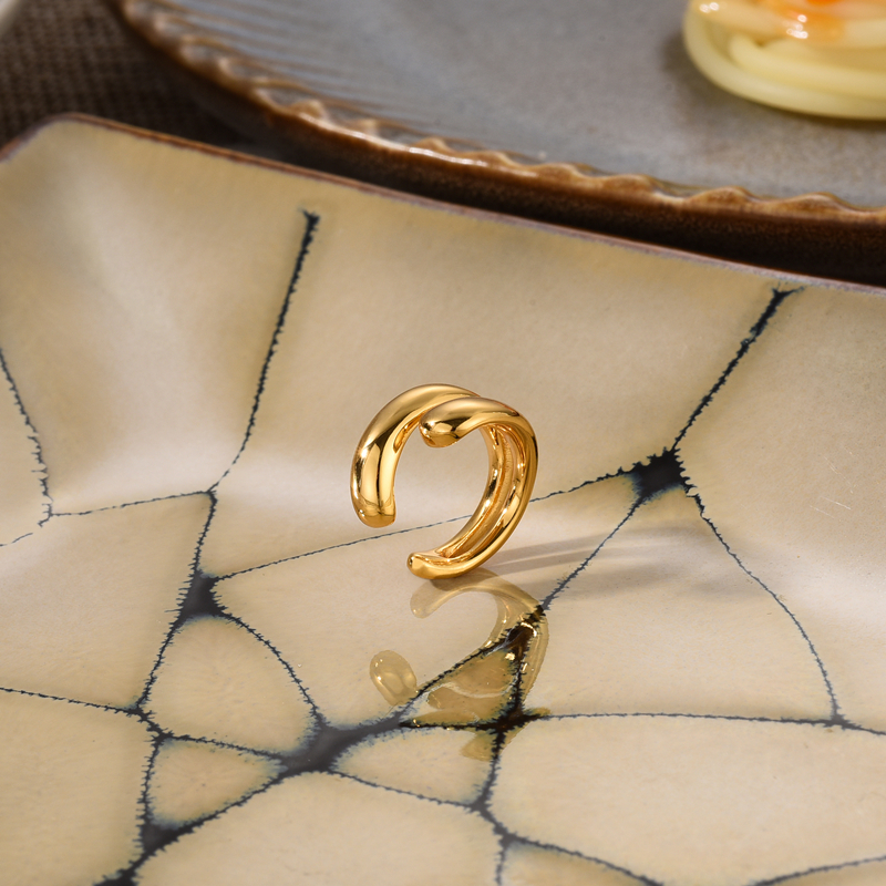 Trendsetting Women's Ear Clip Earring Accessory