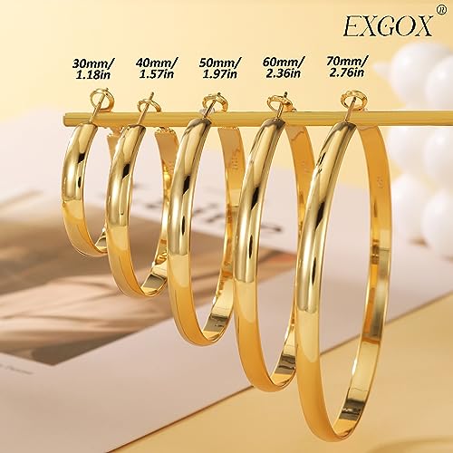 Sterling Silver Large Hoop Earrings for Women