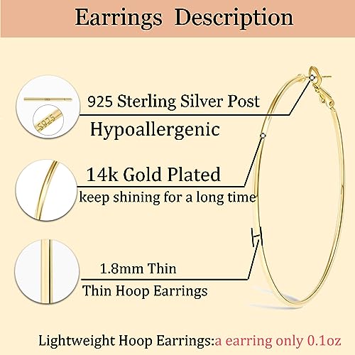 Dainty 14K Gold Large Hoop Earring Set