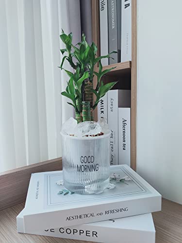 Rough Clear Quartz Healing Stones for Tumbling, Wrapping