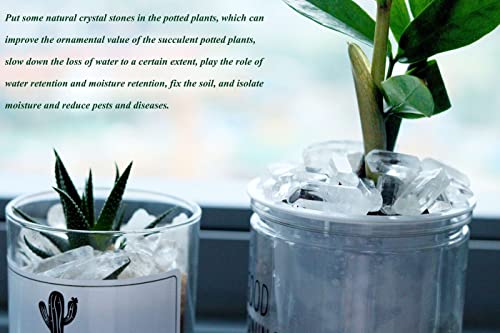 Clear Quartz Crystal Points for Meditation and Healing