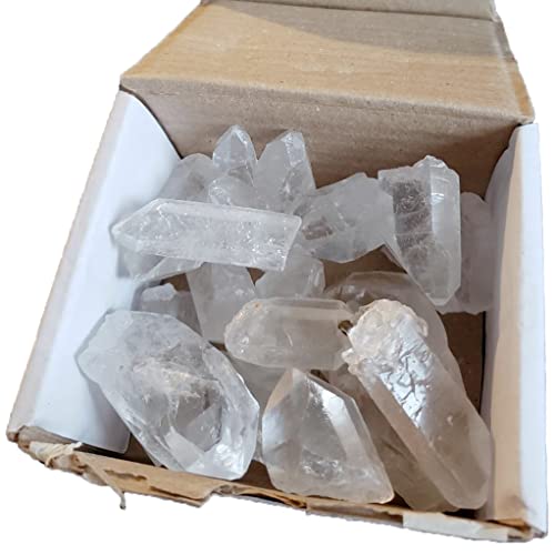1Lb Bulk Clear Quartz Crystal Points for Home Decor