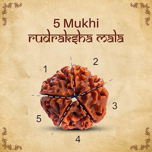 Handmade Sacred Rudraksha Mala for Spiritual Awakening