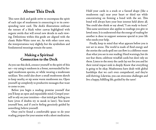 Mystical Mushroom Tarot Deck: Midnight Magic