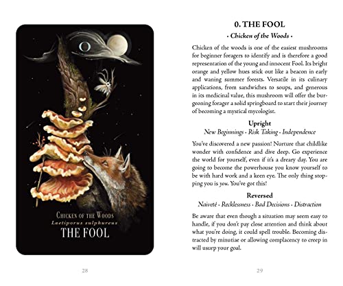 Mystical Mushroom Tarot Deck: Midnight Magic