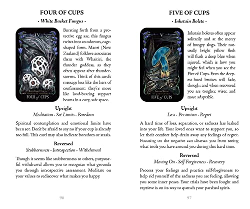 Mystical Mushroom Tarot Deck: Midnight Magic