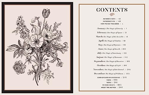 Seasonal Tarot Almanac for Divining Guidance