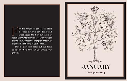 Seasonal Tarot Almanac for Divining Guidance