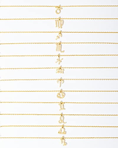 Astrology Zodiac Necklace in 14K Gold Plating