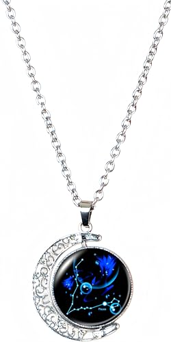 Zodiac Necklace Astrology Horoscope Sign Pendant Pisces