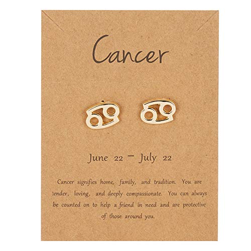 Zodiac Constellation Astrology 18K Gold Plated Stud Earrings