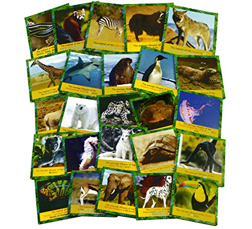 Animal Matching Memory Game for Kids