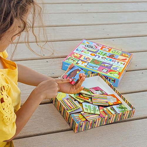 eeBoo Life on Earth Memory Game