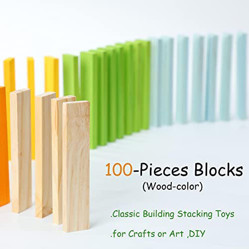 100-Pc Wooden Building Blocks Set for Kids