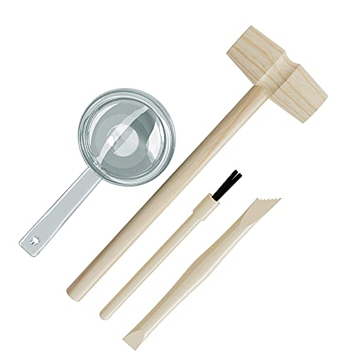 STEM Fossil Dig Kit - 15 Real Fossils & Bones