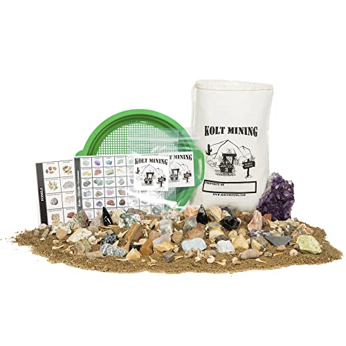 Rock and Mineral Digging Kit for Kids