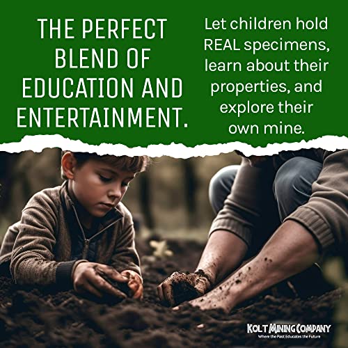 Dig Kit Mother Lode: Rocks, Fossils, Gems & Minerals