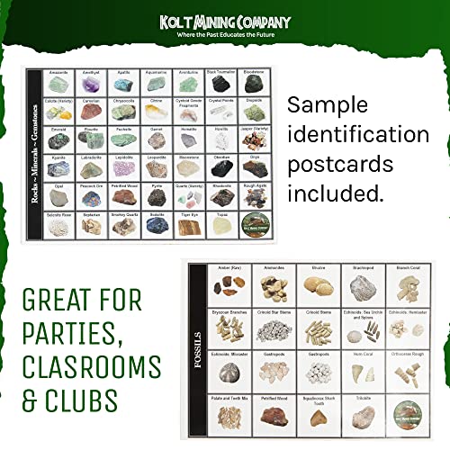 Dig Kit Mother Lode: Rocks, Fossils, Gems & Minerals