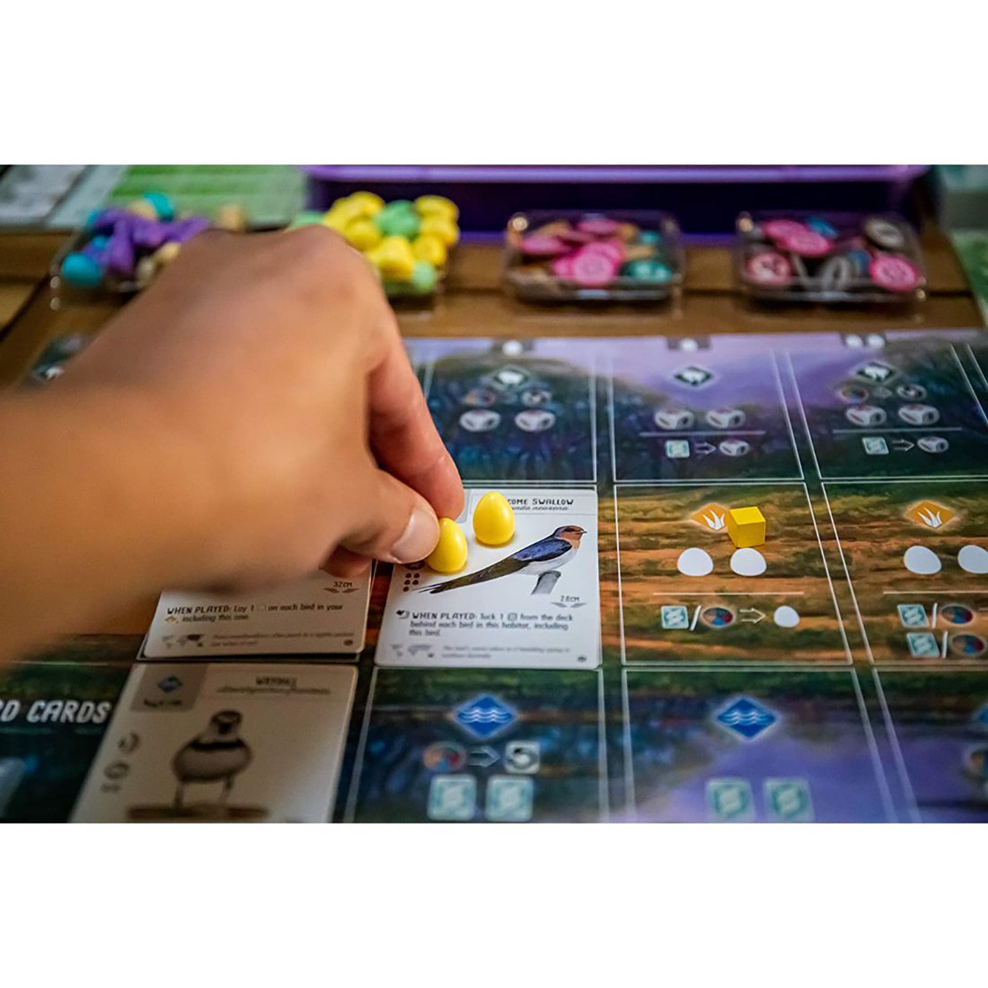 Wingspan Oceania Expansion: New Mats, Food & Fun