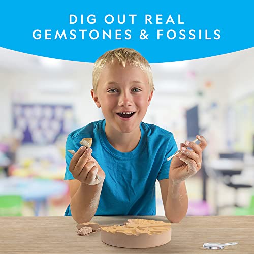 Mega Fossil and Gemstone Dig Kit for Kids