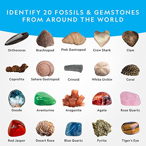 Mega Fossil and Gemstone Dig Kit for Kids