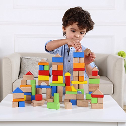 Pidoko Wooden Building Blocks for Toddlers -100pcs
