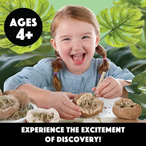 Dino Skeleton Eggs Excavation Kit with Tools & Instructions
