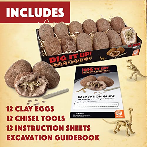 Dino Skeleton Eggs Excavation Kit with Tools & Instructions