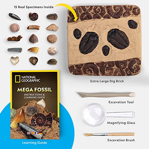 NG Mega Fossil Dig Kit - Prehistoric Excavation Toys